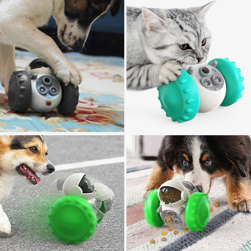 Treat Puzzle Toy